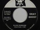 Psych Fuzz 45 - Gray Ghost - Black Sunshine - Pirate - VG+ mp3