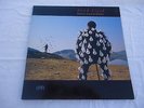 PINK FLOYD - DELICATE SOUND OF THUNDER - SPAIN VINYL - 176 79 1480 1