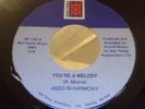 Aged In Harmony 45, You're A Melody rare disco funk modern soul ORIGINAL