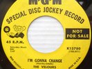 VELOURS norhern soul M-G-M promo 45 I'M GONNA CHANGE / DON'T PITY ME vg+   F1884