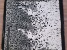 The Wake - Something No One Else Could Bring Ep Fatory Records Fac 178