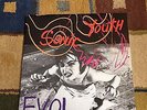 Sonic Youth EVOL Pink Vinyl  DINOSAUR JR. PIXIES PAVEMENT FUGAZI YO LA TENGO