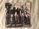 Articles Of Faith What We Want Is Free 7