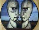 SUPER  PINK FLOYD THE DIVISION BELL VINYL LP PICTURE PIC DISC