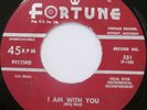 NOLAN STRONG DIABLOS I Am With You bw Goodbye Matilda 45 FORTUNE 531 DOO-WOP EX