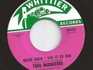 MIDNITERS never knew i had / walking song HEAR  60s GARAGE beat ROCK N ROLL mod