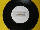 THE DAMNED - DODGY DEMO CO - LOVE SONG - BURGLAR