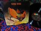 A BEAUTY  SHRINK  PROMO   1st RARE BIRD   HAMMOND + KEYS DARK LUSH PROG Caravan