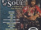 Jimi Hendrix, Power of Soul 140g 2LP from the Michael Hobson Archives