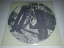 Hair LP by Ty Segall/White Fence Vinyl 2012 Drag City DC503
