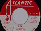 THE RASCALS: See / Away Away USA Atlantic Young ROCK DJ PROMO WLP 45 NM