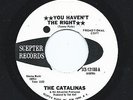 Northern Soul Girl Group THE CATALINAS You Haven't The Right SCEPTER WDJ