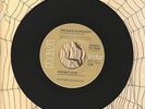 The Main Ingredient Instant Love Let Me Prove My To You RCA 45 Record SCARCE '76