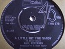 PAUL PETERSEN   A LITTLE BIT FOR SANDY ** 1968 TAMLA MOTOWN 45