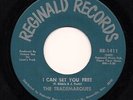 THE TRADEMARQUES 'I Can Set You Free' Reginald Psych/Funk/Soul/Breaks 45 HEAR