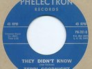 NORTHERN SOUL 45  TERRI GOODNIGHT  