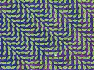 Animal Collective - Merriweather Post Pavilion [New Vinyl]