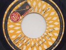 '78 TR GROOVEMASTER REGGAE 45 DESMOND IRIE BABYLON MUST FALL ?