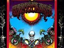 Aoxomoxoa - Grateful Dead  180gm Vinyl (Vinyl Used Very Good) 180gm Vinyl