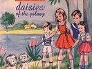Daisies Of The Galaxy - Eels  Explicit V (Vinyl Used Very Good) Explicit Version