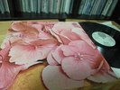STILL LIFE same Vertigo Swirl prog original 1972 LP MINT