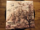 TRAMPLED BY TURTLES- Duluth 12