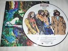 33T.LP.PICTURE .LED ZEPPELIN.LIVE 75 MADISON SQUARE GARDEN .FAN CLUB MEXICO.500C