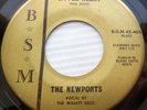 the NEWPORTS & WILLETT Bros mod garage 45  Beatles-sound LITTLE HEART vg+ F1571