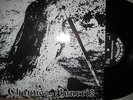 NEU 12