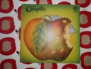 Catapilla original UK Vertigo LP - WHITE LABEL TEST PRESSING