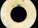 ORIG 1967 SKA ROCKSTEADY - CHA CHA ROCK - TOMMY McCOOK - BLANK TREASURE ISLE 7
