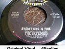 ? Skyliners 'Everything Is Fine' RARE Collectors Northern Soul 45 HEAR