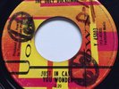 GARAGE PUNK The Ugly Ducklings JUST IN CASE YOU WONDER Yorktown 45 rare Canadian