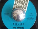 THE BANDITS rare Little Sally Walker garage punk Jerden 45 LISTEN
