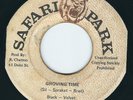 Black Velvet - Grooving Time / Dub - Safari Park 7