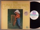 Climax Blues Band, The  The Climax Chicago Blues Band Plays On   Blues Rock