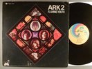 Flaming Youth  Ark 2    Prog