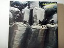 MOEBIUS and CONNY PLANK LP Material 1981 Sky krautrock rare cluster