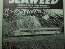 Seaweed-Service Deck/The Weight-Test Pressing-No Idea Records