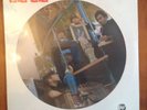 SEALED LOVE Picture Disc- Rhino RNDF 251 Arthur Lee- Live forever changes ETC.
