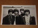 Nazz 1968 10 x 6 Agency Publicity Photo