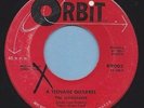 Wanderers - Orbit 9003 