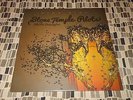 STONE TEMPLE PILOTS with CHESTER BENNINGTON HIGH RISE  10