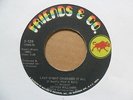 ESTHER WILLIAMS Last Night Changed It All FRIENDS & CO Funk Breaks 45 HEAR