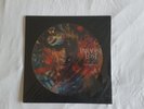 Paradise Lost - Draconian Times Picture LP ( Anathema, My Dying Bride )