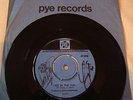 STATUS QUO - ICE IN THE SUN ** FRANCIS ROSSI RICK PARFITT AUTOGRAPH SIGNED
