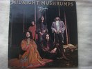 GRYPHON - MIDNIGHT MUSHRUMPS - 1974 TRANSATLANTIC FOLK/PROG/ROCK EX