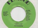 FUNK  -   4TH KINGDOM -- JUNKIE JOE