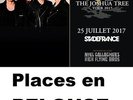 1 à 4 Places tickets PELOUSE Fosse   Concert U2 au STADE DE FRANCE PARIS 25.07