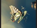 Amon Tobin - ISAM [Vinyl,LP,Album]